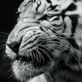 Hajy Taganov, 02.12, Уфа