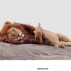 Айдын Шинжинов, 20.08, Усть-Каменогорск