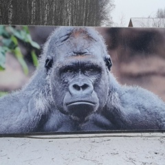 Дмитрий Бежан, 24.12, Санкт-Петербург