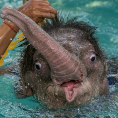 Михаил Артемьев, 17.04.1984, Санкт-Петербург