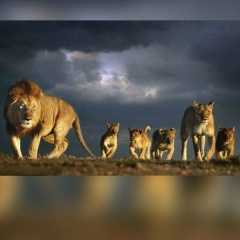 Azret Байдаев, 24.03, Москва