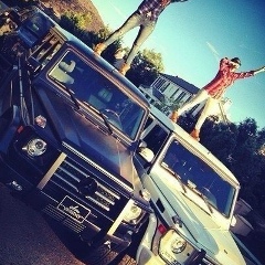 Анатолий Романович, Владимир