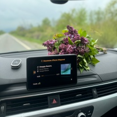 Мадина Бачаева, 17.08, Москва