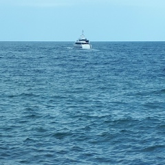 Нина , 24.11.1982, Краснодар