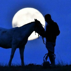 Ромео Ромео