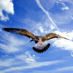 Иван Оганов, 19.06.1987, Москва