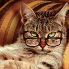 Руслан Квасов, 01.06