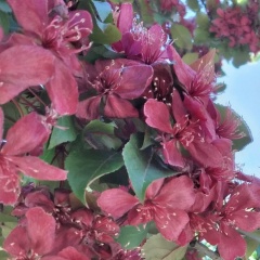 Татьяна Поканепоменяла