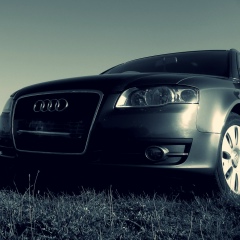 Дмитрий Федирко, Николаев