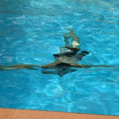 Александр Сергеев, 06.08, Севастополь