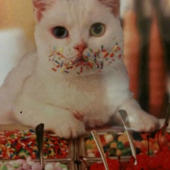 Сергей Мельник, 24.01, Санкт-Петербург