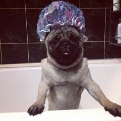 Олег Неважно, 03.09.2006, Караганда