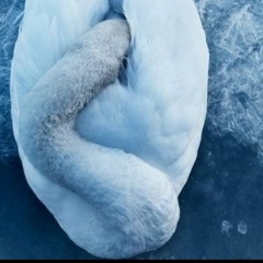 Екатерина Анисимова, 20.11.1996