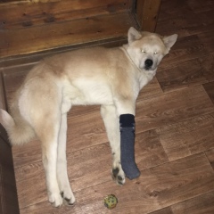 Айка Рахимбекова, 06.08.1989