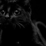 Денис Филонов, 02.10, Монино