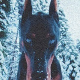 Ggf Devilson, 13.01.1913, Frederikssund