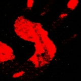 Александ Сашкин, Санкт-Петербург