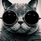 Дима Бондаренко, 25.11, Уфа