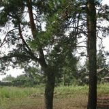 Наталья Глечян, 11.08.1989, Москва