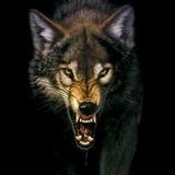 Рома Крывець, 22.05.1995, Заворичи