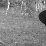 Дима Замай, Чернигов