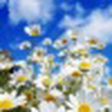 Анюта Колодяжная, 30.11.1988, Севастополь