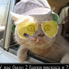 Катюшка Шипулина, 04.06, Липецк
