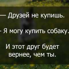 Samrad Saginaev, 24.12