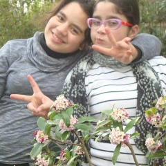 Ana Gendzekhadze, 17.08, Поти