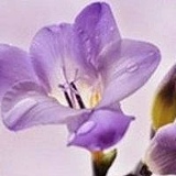 Эльвира Аглямова, 14.07, Азнакаево