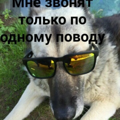 Павел Лебедев, 17.02.1995, Москва