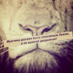 Алим Афаунов, 09.06.1991