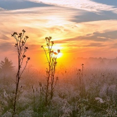 Оксана Коваленко, 26.01