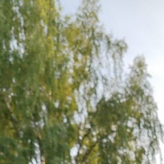 Никита Яцыно, 03.07