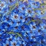 Валентина Книга, 29.04, Чернигов