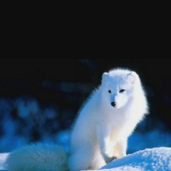 Меруерт Мукашева, 22.01.1975, Актау