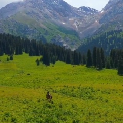 Жанна Горанова, 15.08, Алматы