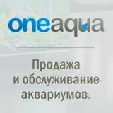 Марк Фишер, Красноярск