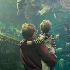 Сергей Бузин, 12.05, Москва