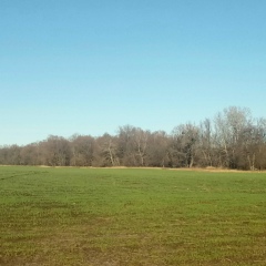 Александр Гололобов, 22.08, Санкт-Петербург