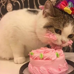 Гульнура Багланова, 09.07.1996, Алматы