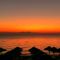 Алексей Гузенко, 04.12, Санкт-Петербург