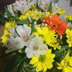 Aigul Bagautdinova, 19.03.1986, Уфа