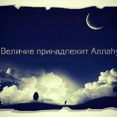 Сайфуллах Алиев