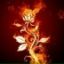 Виктория Иванова, 10.04.1988, Нахичевань