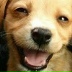 Лариса Полторацкая, 27.12, Калуга