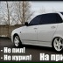 Стас Порфирьев, Большая Выла