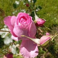 Екатерина Ломоносова, 20.02.1986, Санкт-Петербург