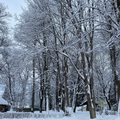Наталья Данилова, 13.11, Москва