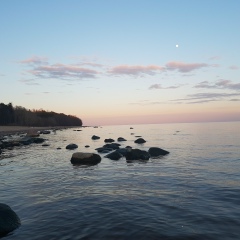 Сергей Тимко, 25.06.1985, Вельск